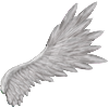 Ailes droite